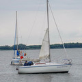 Image17.jpeg