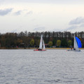 IMG_8751.JPG